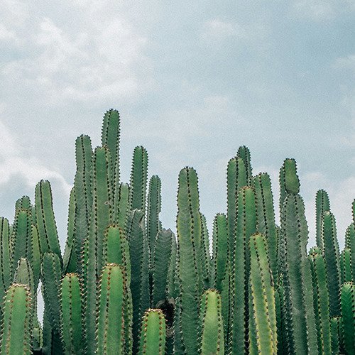 If Our Healing is Unlocatable, Where Do We Pin Our Destination?