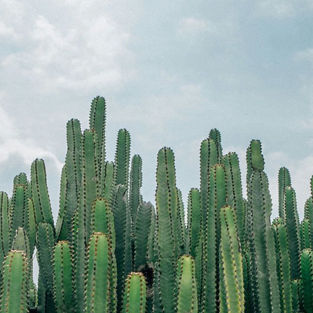 If Our Healing is Unlocatable, Where Do We Pin Our Destination?