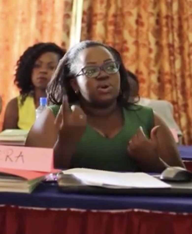 A training of trainers